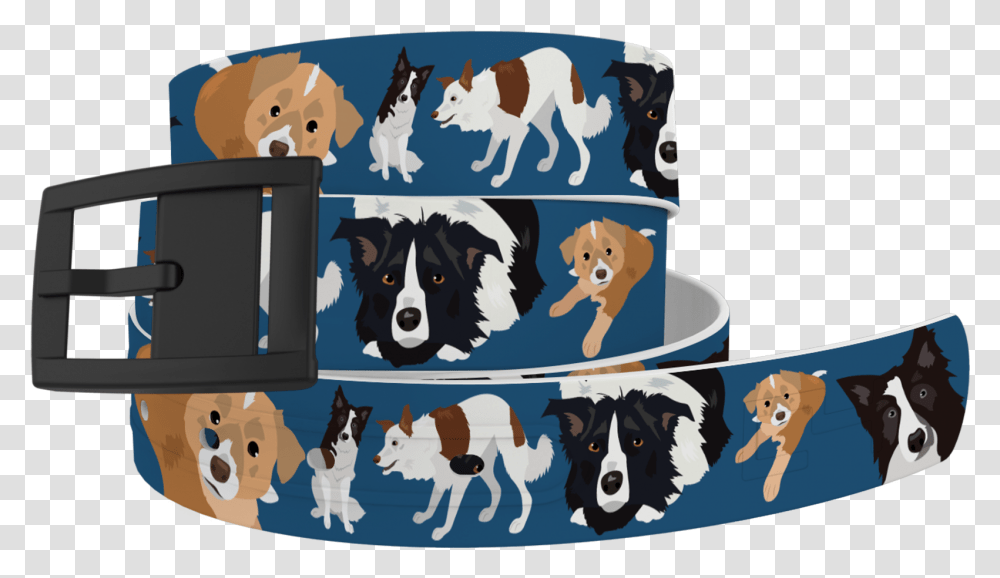 Matching Border Collie Belt C4 Belts, Pet, Animal, Dog, Canine Transparent Png