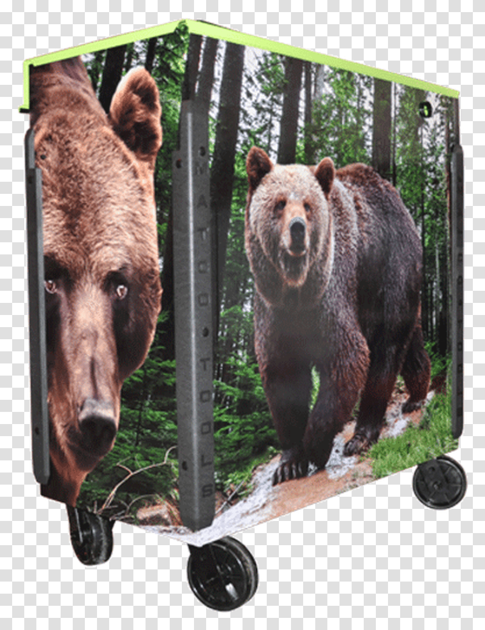 Matco Tool Box Wrap For Tools Grizzly Bear, Wildlife, Mammal, Animal, Brown Bear Transparent Png