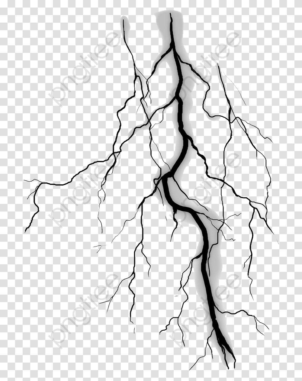 Material Clipart Thunder And Drawings Of Lightning, Plant, Tree, Root, Tree Trunk Transparent Png