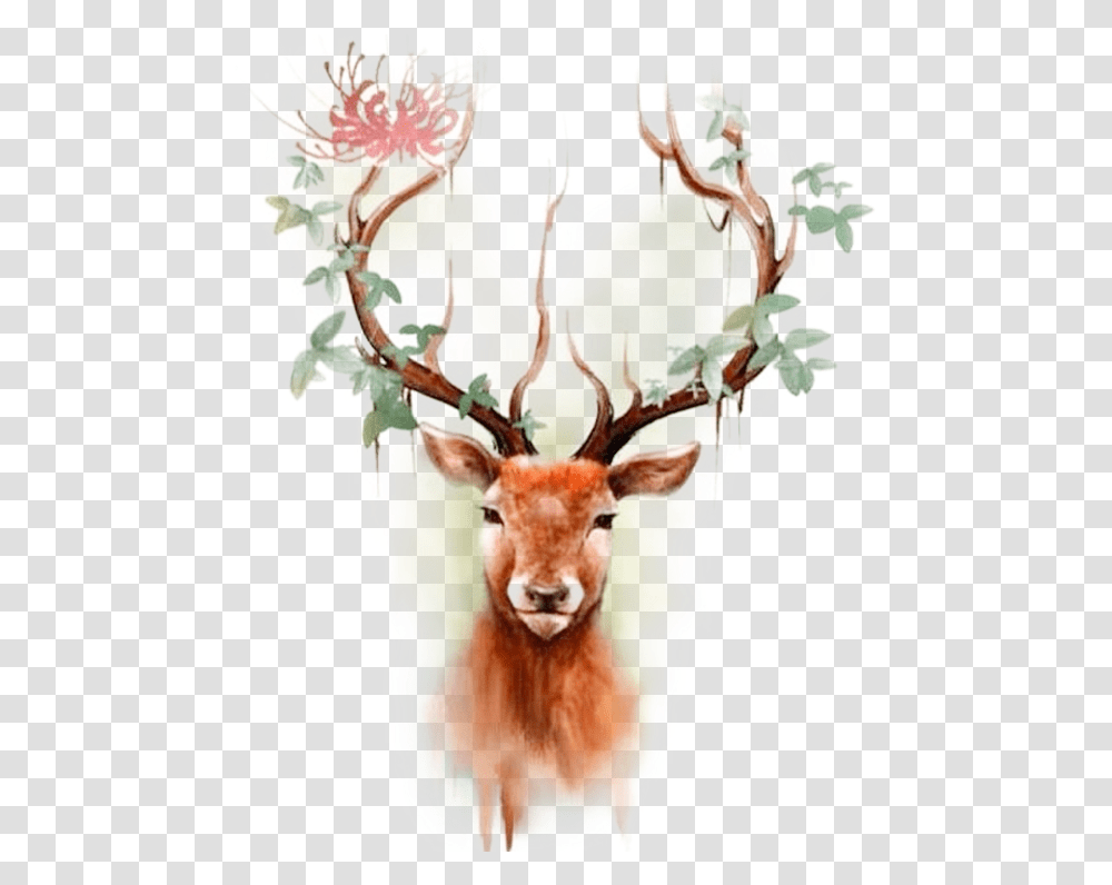 Material Deer Tattoo Designs For Women, Wildlife, Mammal, Animal, Antelope Transparent Png