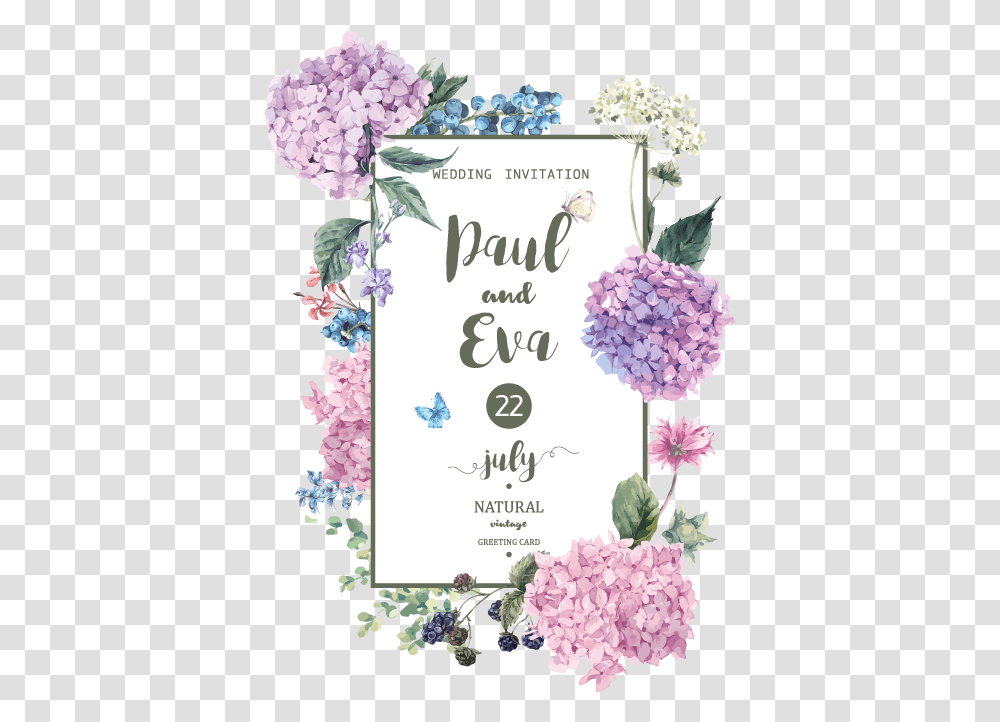 Material Flower Hydrangea Wedding Illustration Vector Free Watercolor Flowers Vector, Plant, Blossom, Lilac, Mail Transparent Png