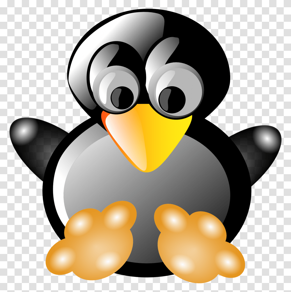 Math Exercises In English, Bird, Animal, Penguin Transparent Png