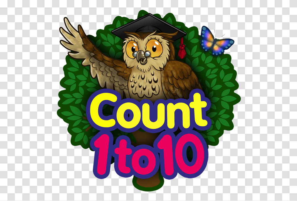 Mathematics, Owl, Bird, Animal Transparent Png