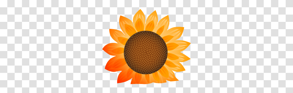 Mathigon - Textbook Of The Future Language, Plant, Sunflower, Blossom, Photography Transparent Png