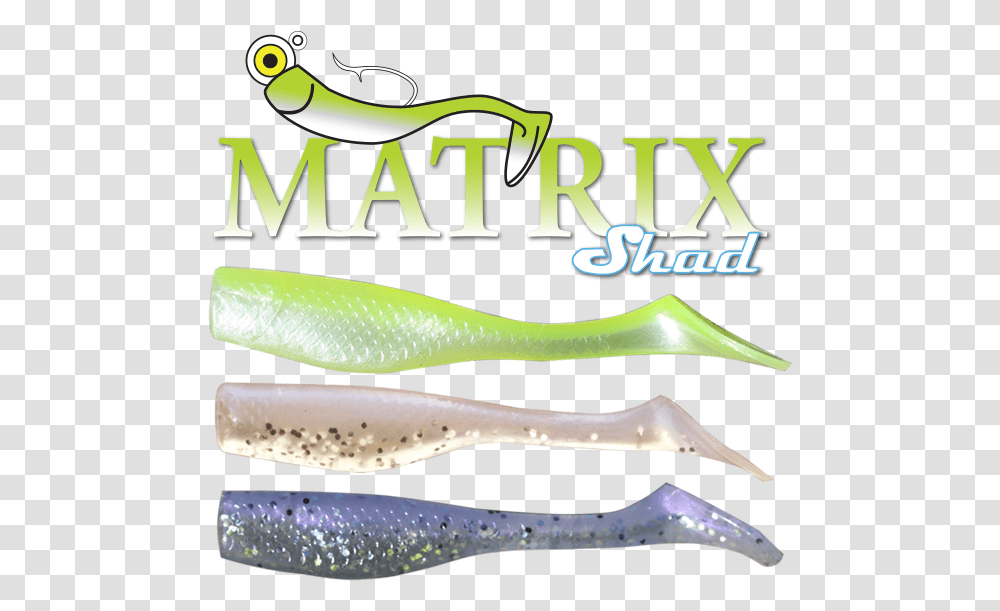 Matrix Shad, Animal, Fish, Snake, Reptile Transparent Png