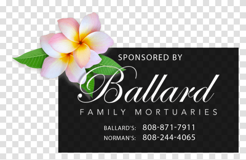 Maui Obituaries Now News & Information For Party, Graphics, Floral Design, Pattern, Advertisement Transparent Png