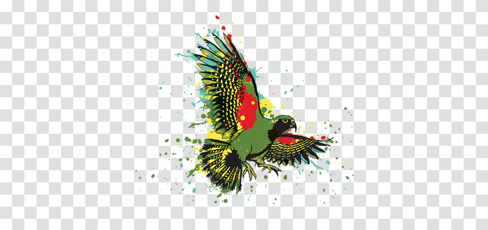 Maverick Bird Logos Maverick Digital Logo, Animal, Graphics, Art, Nature Transparent Png