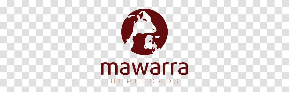 Mawarra Herefords Mawarra Genetics, Musical Instrument, Leisure Activities, Cello Transparent Png