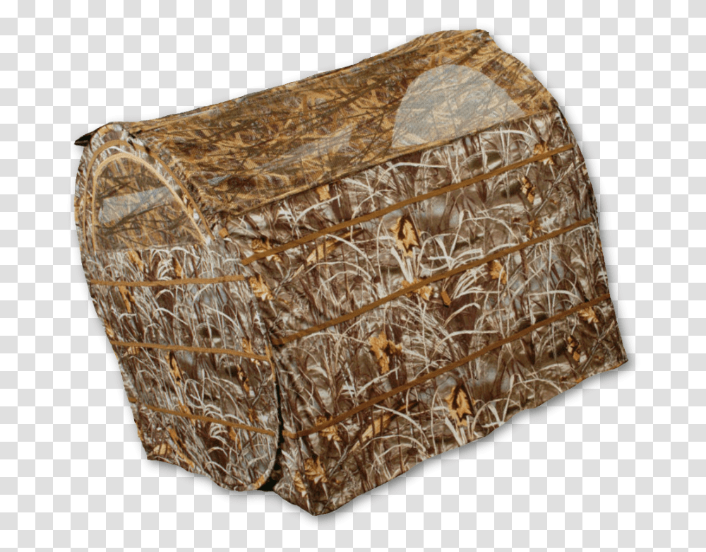 Max, Archaeology, Treasure, Rug, Pottery Transparent Png
