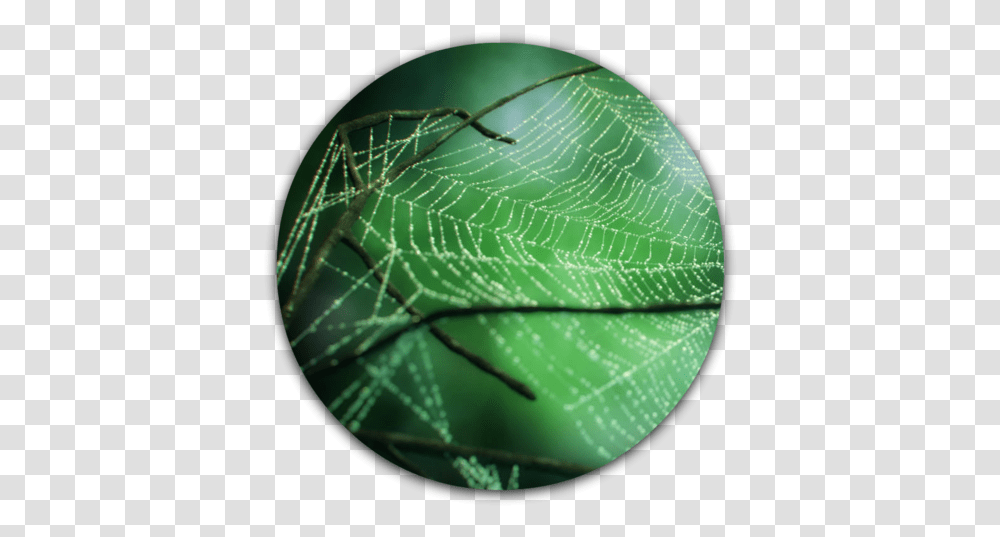 Max Spider Web Spider Web, Sphere, Crystal Transparent Png