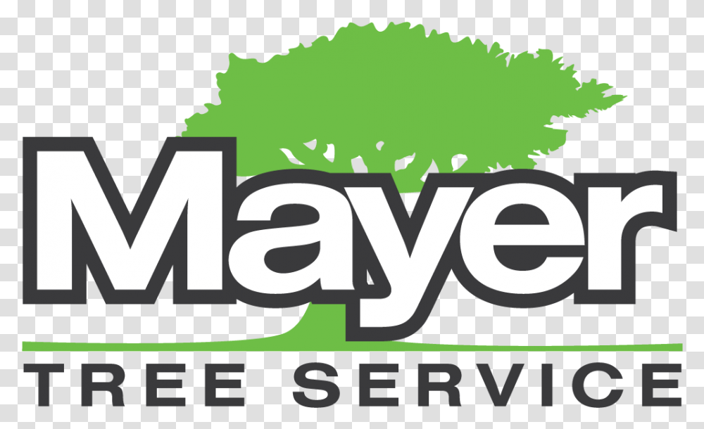 Mayer Kelly Services, Poster, Plant, Text, Label Transparent Png