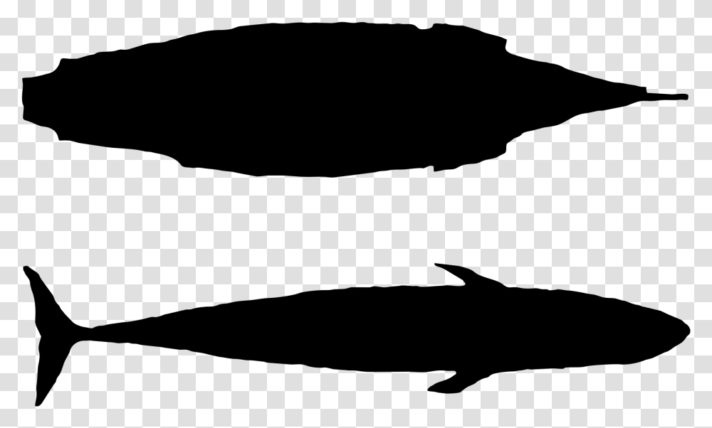 Mayflower Blue Whale Size, Gray, World Of Warcraft Transparent Png