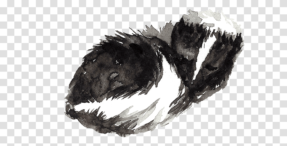 Mb Woodland Skunk Illustration, Vulture, Bird, Animal, Eagle Transparent Png