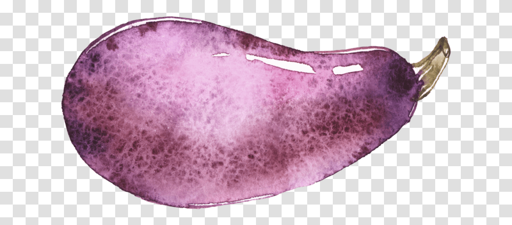 Mbe Eggplant, Rug, Animal, Sea Life, Mammal Transparent Png