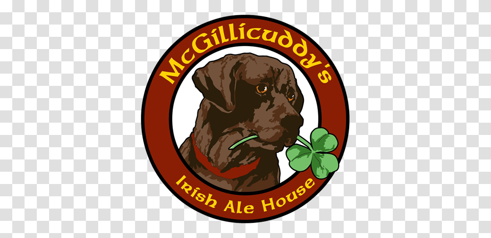 Mcgillicuddys Irish Ale House Irish Pub Williston Vt, Animal, Canine, Mammal, Pet Transparent Png