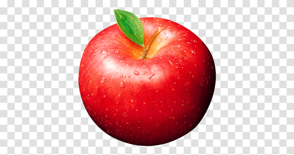 Mcintosh Apple Pie Fruit Fresh Apples Download 678 Mcintosh Apple, Plant, Food Transparent Png