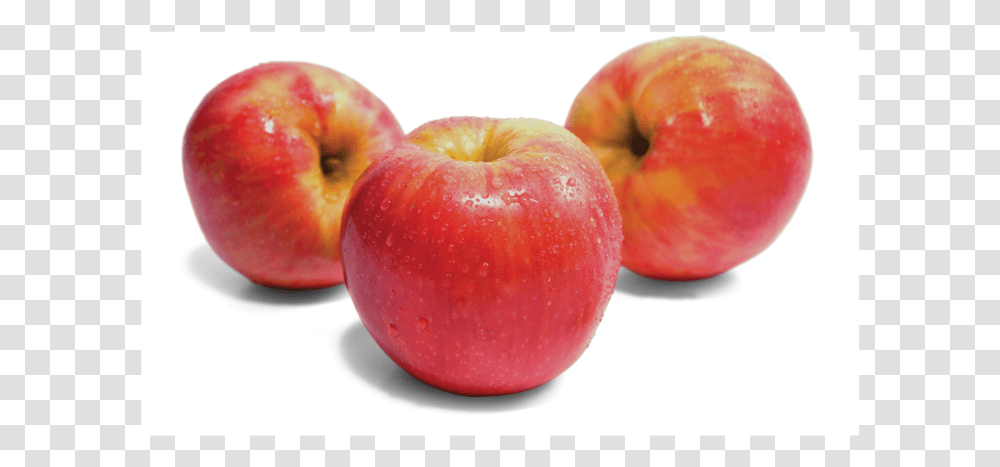 Mcintosh Honeycrisp Apple Gala Honey Crisp Apples, Fruit, Plant, Food, Vegetable Transparent Png