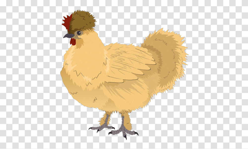 Mcnuggets South Park Archives Fandom Powered, Hen, Chicken, Poultry, Fowl Transparent Png