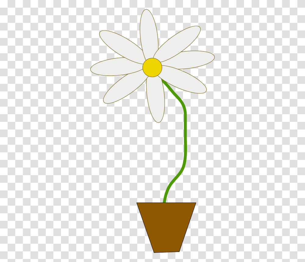 Mcol Flower In A Pot, Nature, Plant, Lamp, Blossom Transparent Png