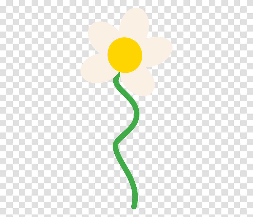 Mcol Flower, Nature, Plant Transparent Png