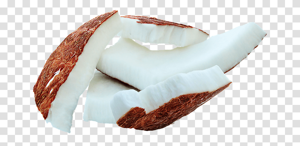 Mct Fats Found In Coconut Oil Boost Brain Function Coconut Meat, Cushion, Plant, Food, Pillow Transparent Png