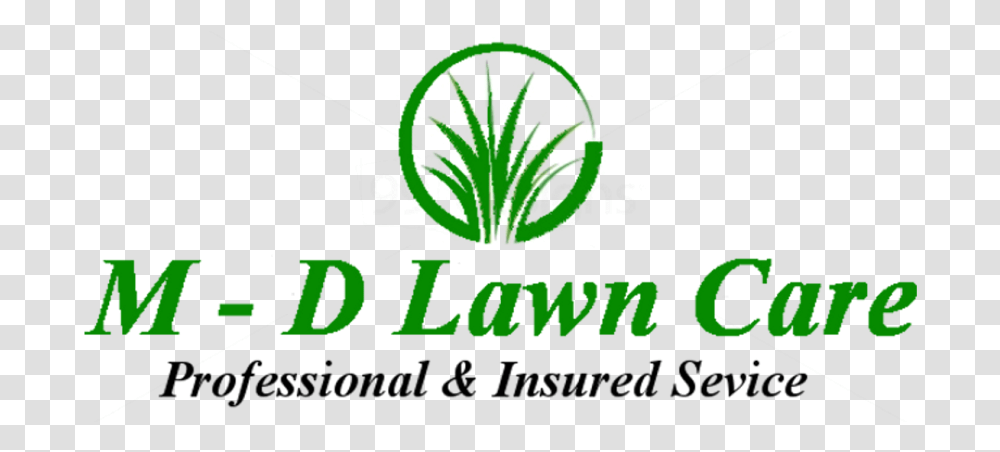 Md Lawn Care Kores, Plant, Vegetation, Logo Transparent Png