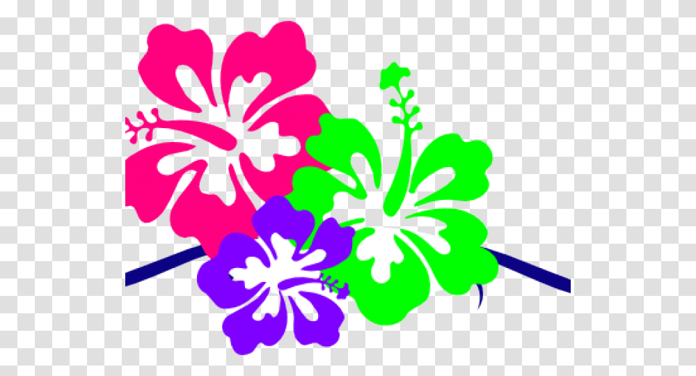 Md Mba Eugene Rhee Md Urology, Plant, Hibiscus, Flower, Blossom Transparent Png