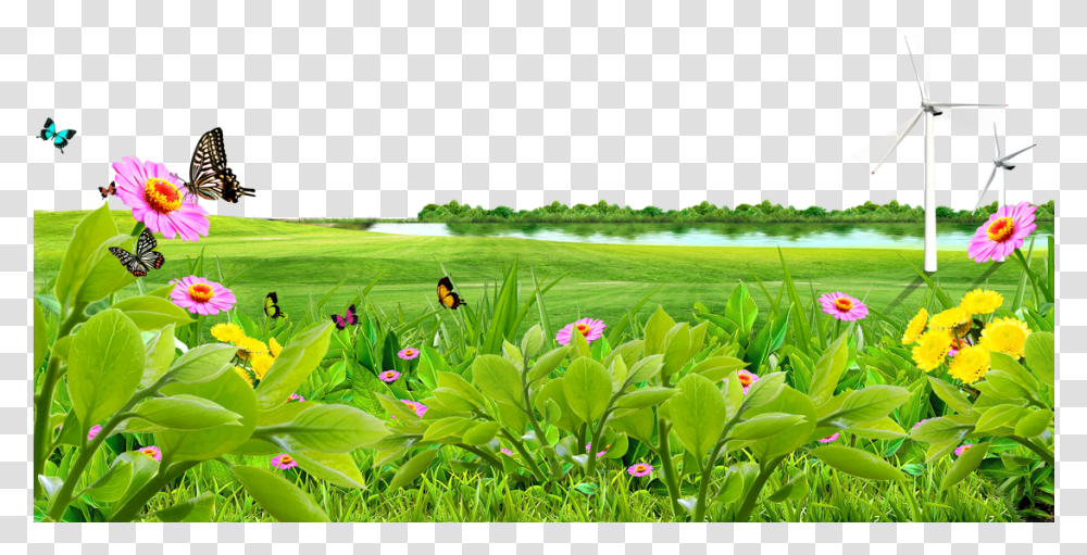 Meadow Lawn Wallpaper Lake Nature Background Hd, Green, Grass, Plant, Vegetation Transparent Png