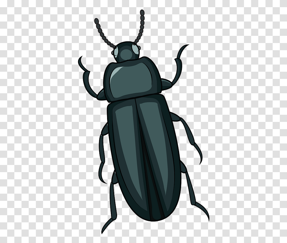 Mealworm Beetle Clipart Beetle Clipart, Invertebrate, Animal, Insect, Dung Beetle Transparent Png