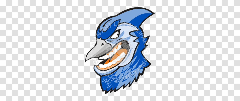 Mean Blue Jay, Helmet, Apparel, Sea Life Transparent Png