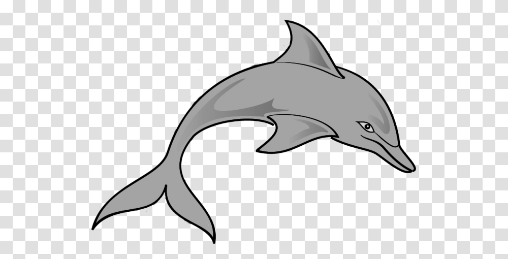 Mean Dolphin Clipart, Sea Life, Animal, Mammal, Helmet Transparent Png