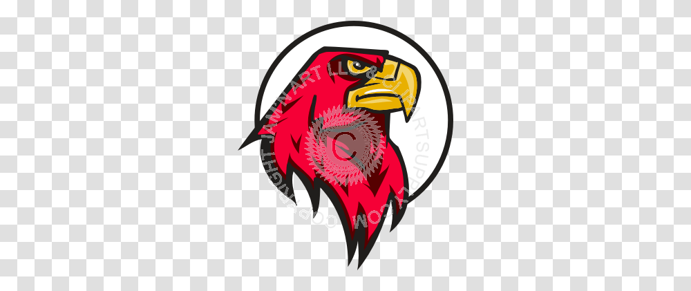 Mean Hawk Head In Color, Beak, Bird, Animal Transparent Png