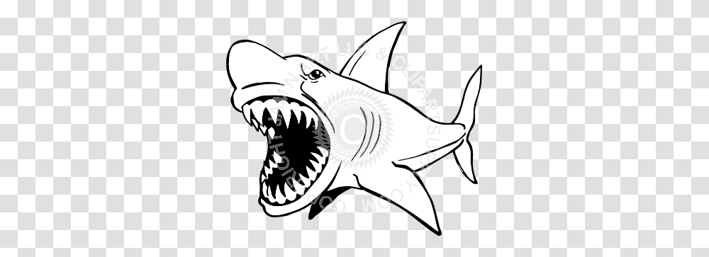 Mean Shark Clip Art, Fish, Animal, Sea Life Transparent Png