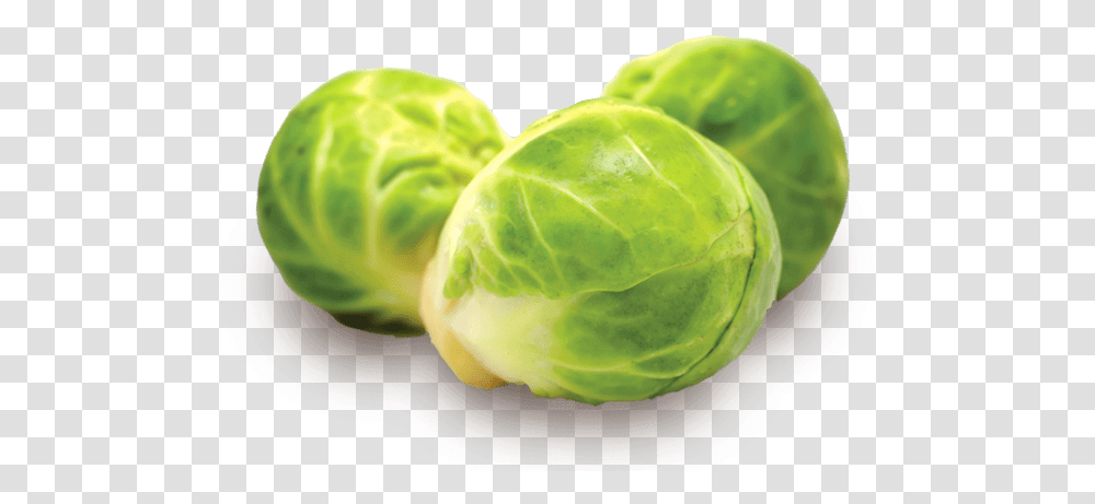 Meaning Brussels Sprouts In Hindi, Plant, Cabbage, Vegetable, Food Transparent Png