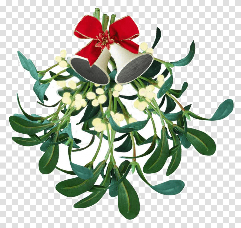 Meaning Mistletoe Christmas, Plant, Graphics, Art, Floral Design Transparent Png