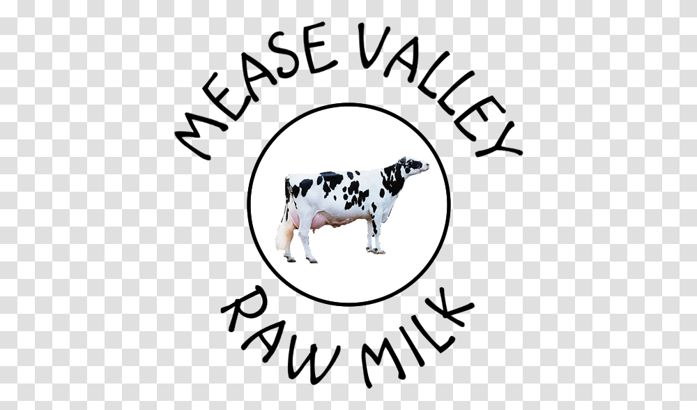 Mease Valley Raw Milk Raw Milk Suppliers In Tamworth Uk, Cow, Cattle, Mammal, Animal Transparent Png