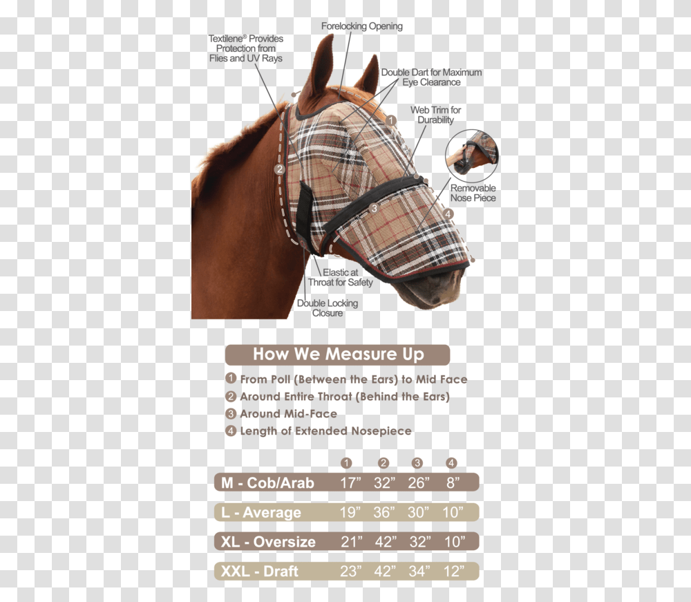 Measure A Horse For A Fly Mask, Person, Footwear, Shoe Transparent Png