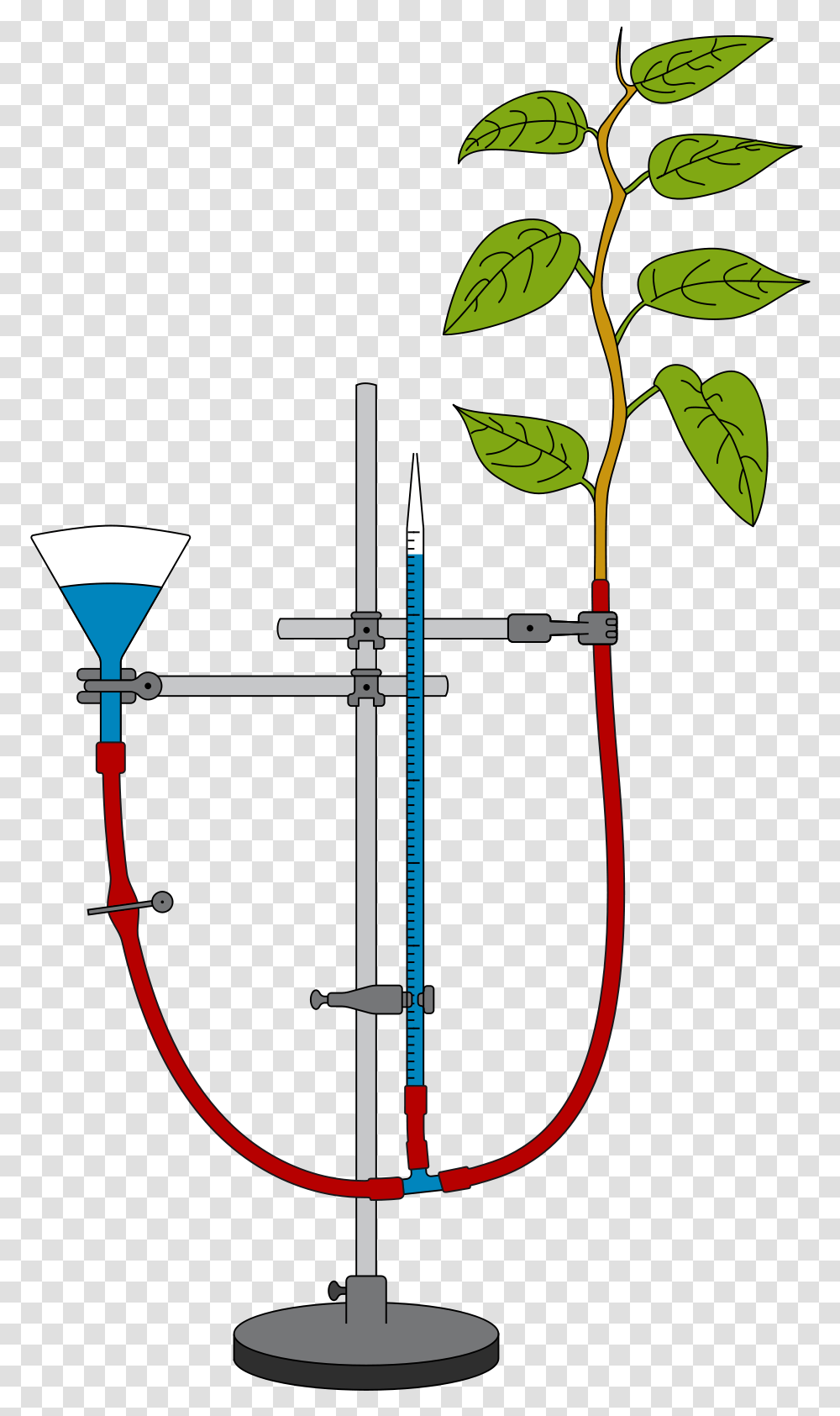 Measurement Of Transpiration With A Potometer Transpiration Potometer, Bow, Archery, Sport, Sports Transparent Png