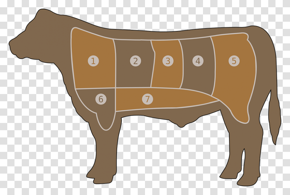 Meat Chart Beef Butcher Cow Steak Farm Part Outline Of Beef Cuts, Gun, Weapon, Weaponry, Cushion Transparent Png