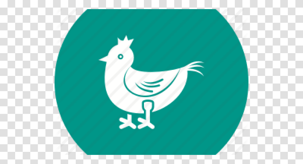 Meat Clipart Chicken Dinner, Animal, Poultry, Fowl, Bird Transparent Png