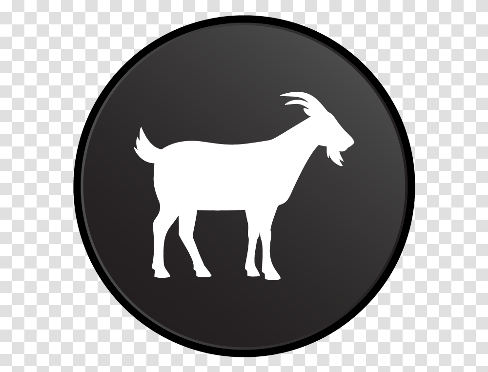 Meat Exotic Meats And More Goat, Mammal, Animal, Wildlife, Deer Transparent Png