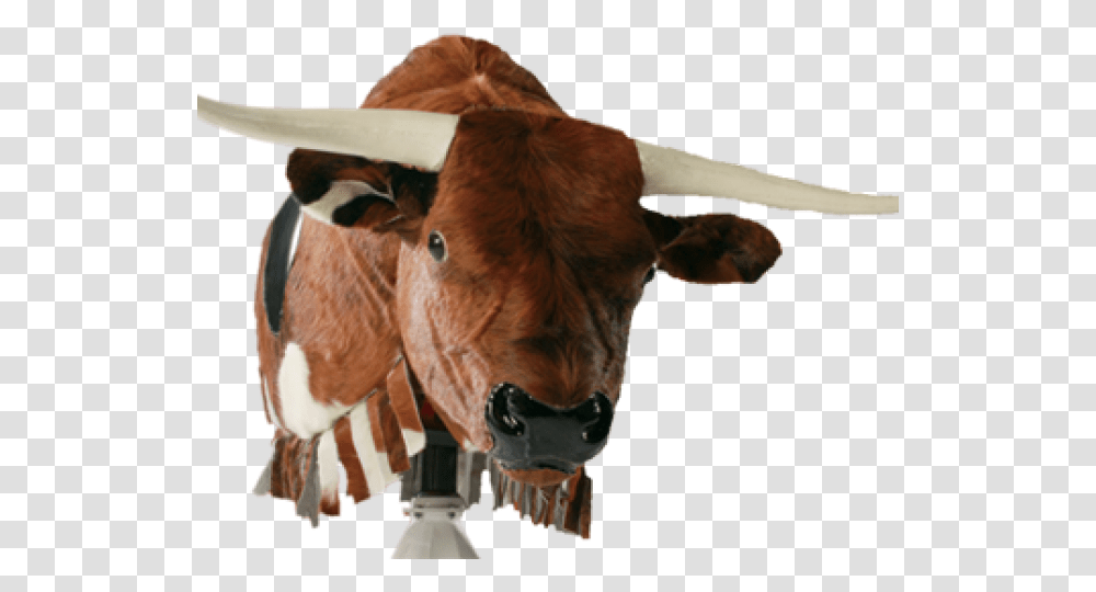 Mechanical Bull, Cow, Cattle, Mammal, Animal Transparent Png