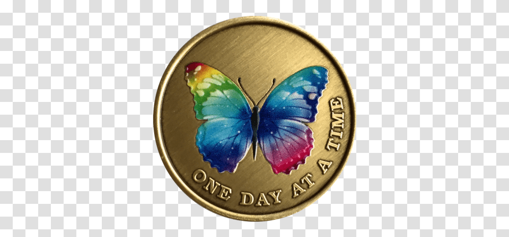 Medallion And Vectors For Free Butterflies, Gold, Coin, Money, Symbol Transparent Png