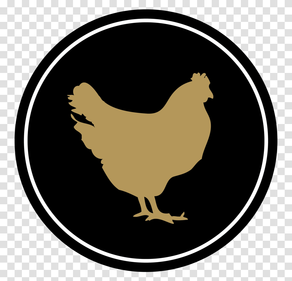 Medallions, Animal, Fowl, Bird, Poultry Transparent Png