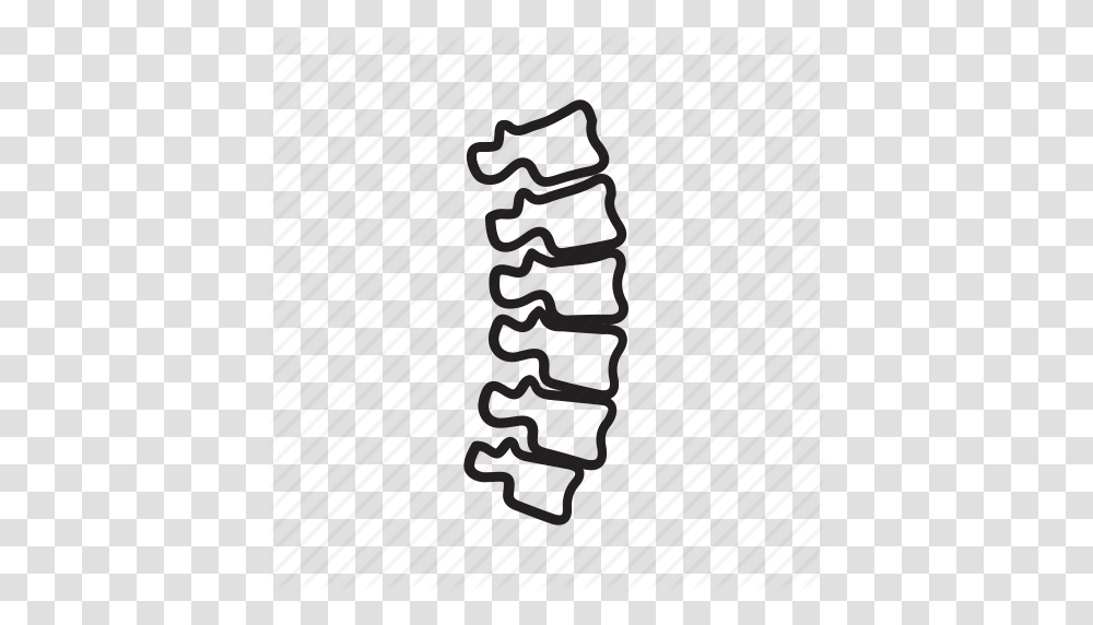 Medcine Orthopedic Ridge Spine Icon, Weapon, Rug, Tie, Outdoors Transparent Png