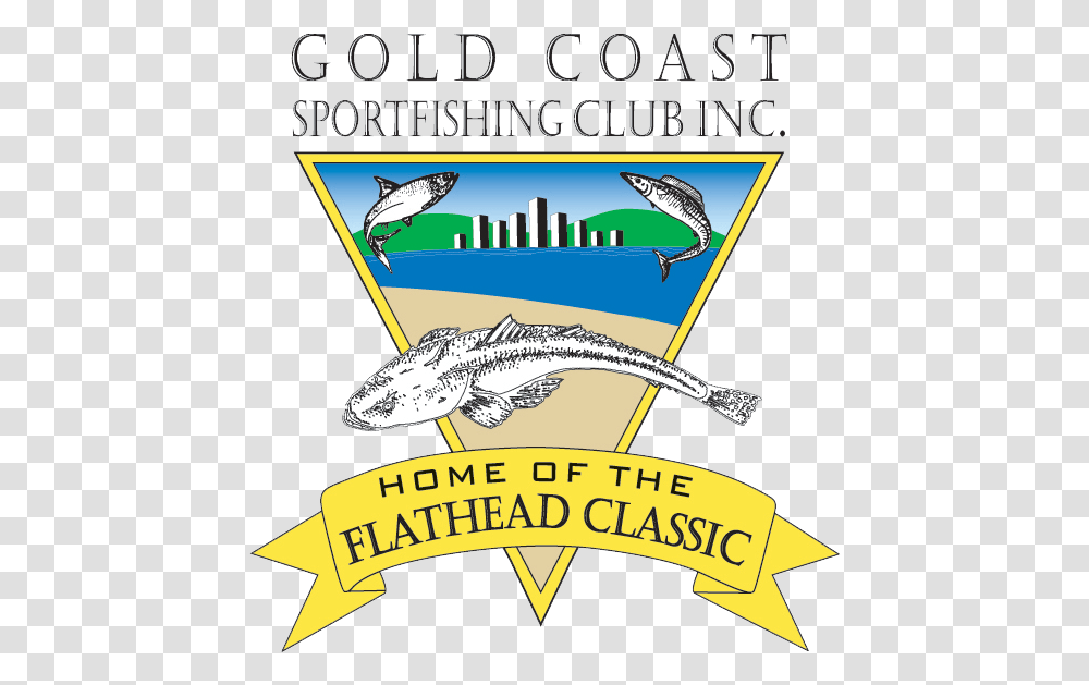 Media Gold Coast Flathead Classic Cartoon, Poster, Advertisement, Flyer, Paper Transparent Png