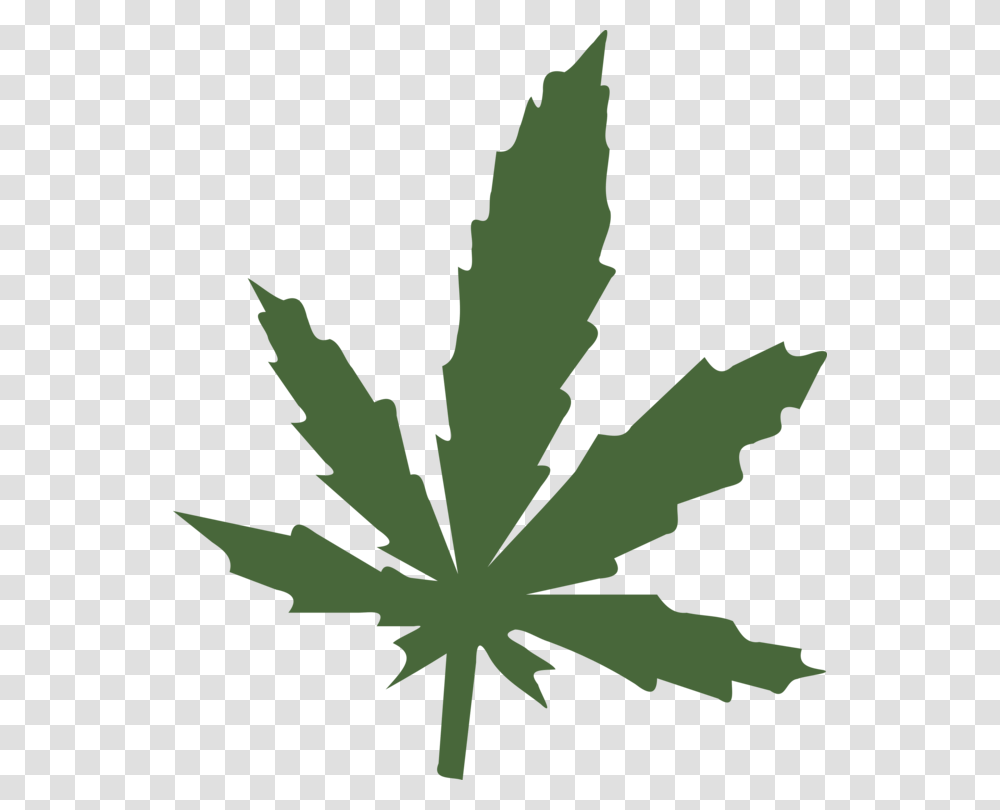 Medical Cannabis Leaf Cannabis Sativa Hemp, Plant, Person, Human, Weed Transparent Png