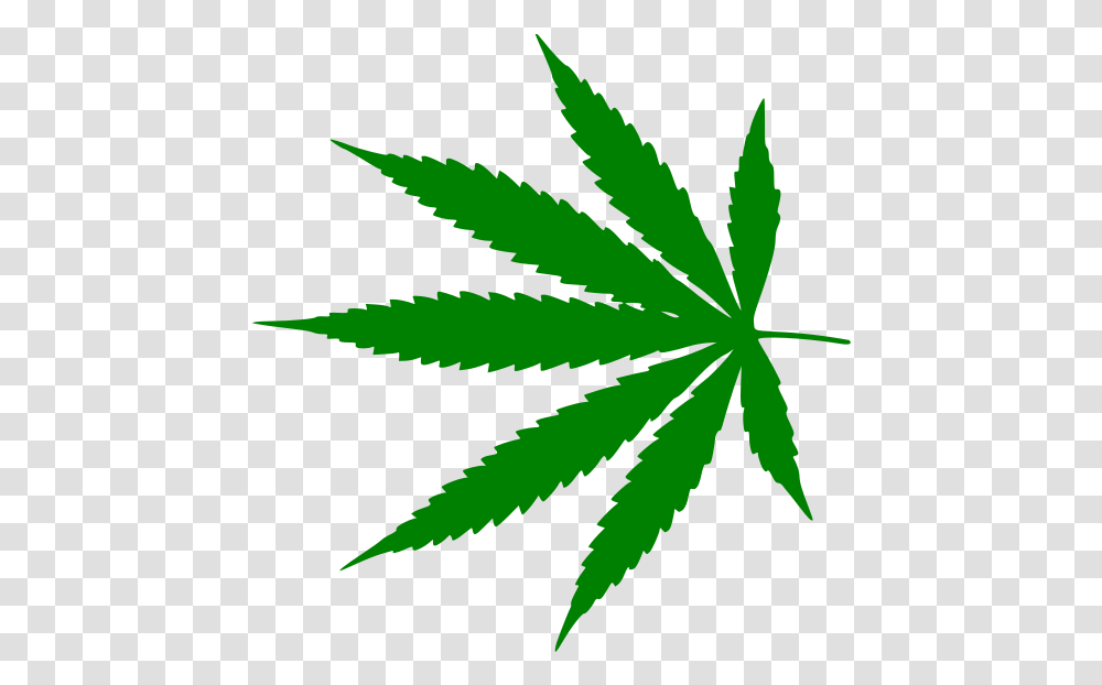 Medical Cannabis Legalization Amazon Cannabis, Plant, Hemp, Weed, Leaf Transparent Png