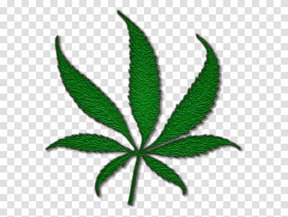 Medical Cannabis Marijuana Joint Cannabis Sativa Pot Leaf Shower Curtain, Plant, Bird, Animal, Flower Transparent Png
