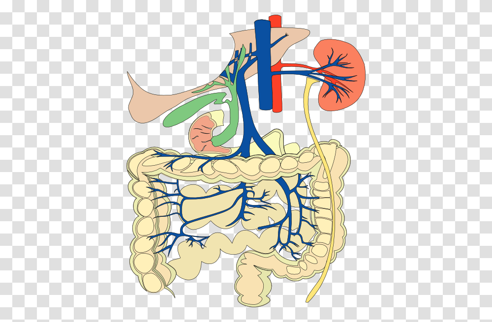 Medical Diagram Clip Art, Doodle, Drawing, Plant, Plot Transparent Png